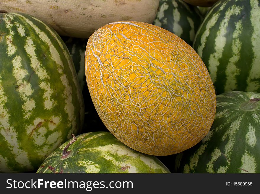 Fruit   melon   fresh  ripe  an abstract background