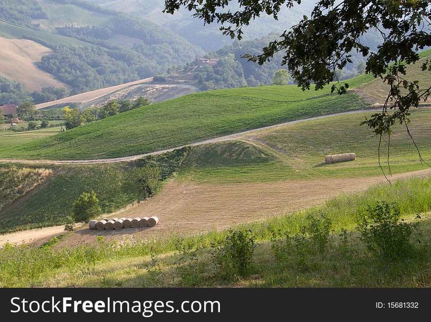 A landscape of the hills near Florence in Italy