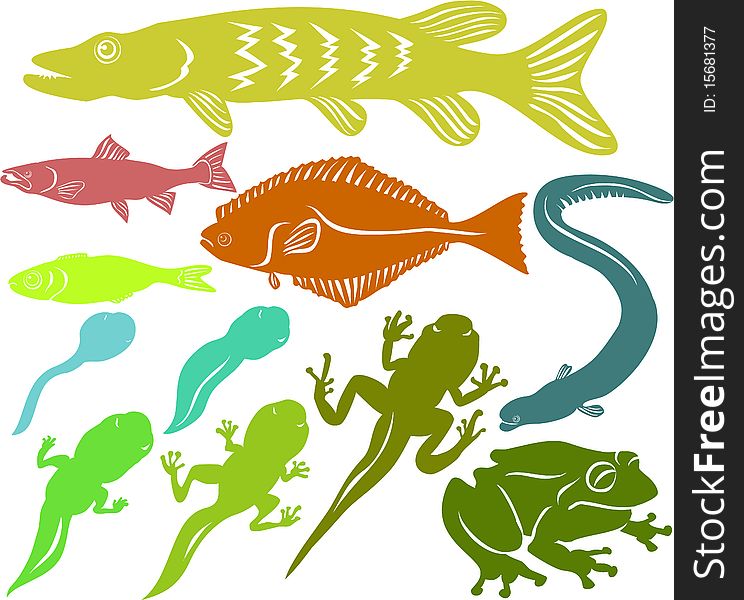 Set of a various fish and frog