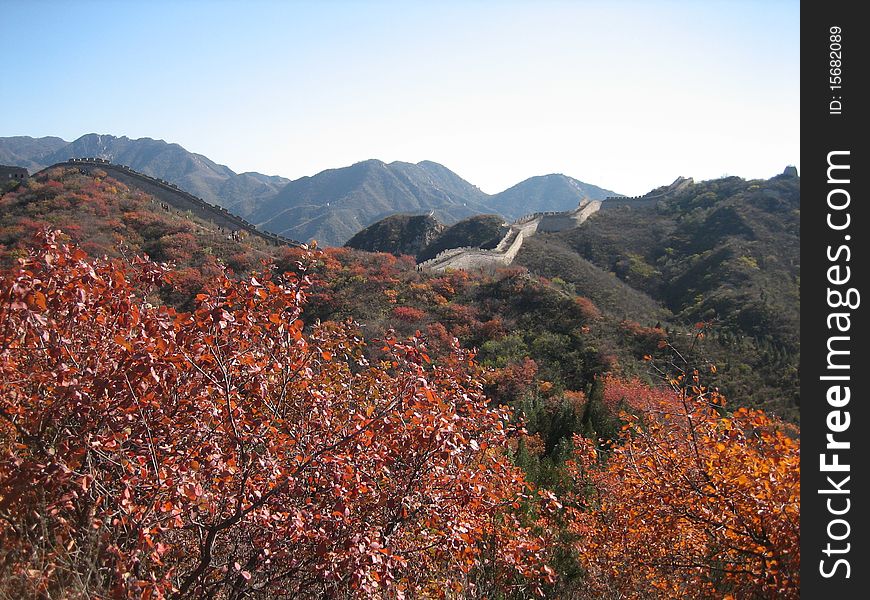 This is the view of the Great Wall in autumn