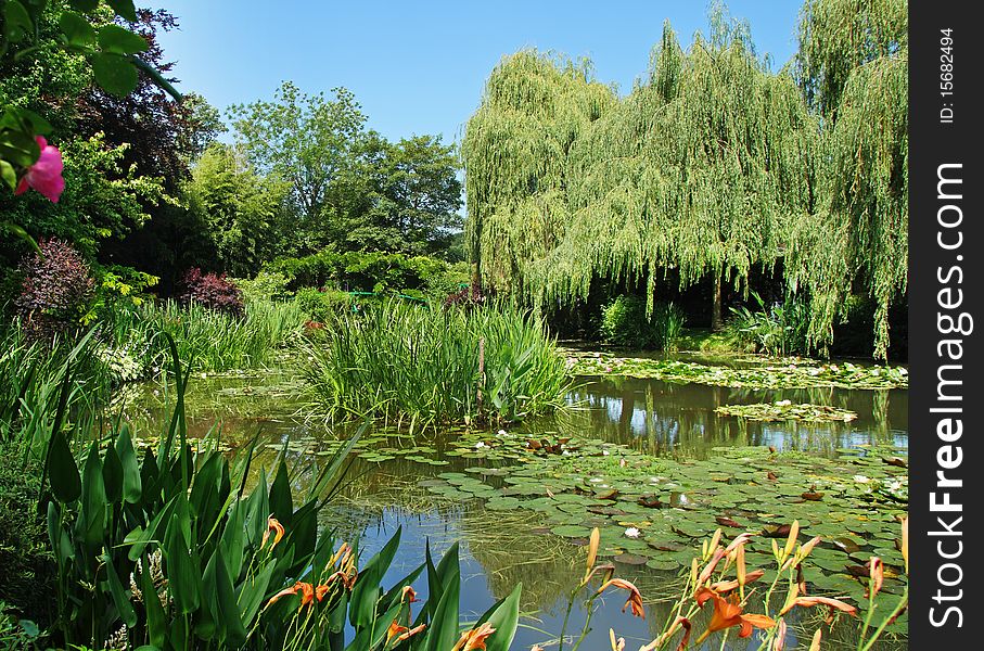 Peaceful Garden with Lily Pond