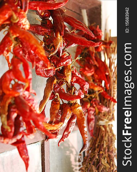 Dried hanging  spicy red peppers. Dried hanging  spicy red peppers