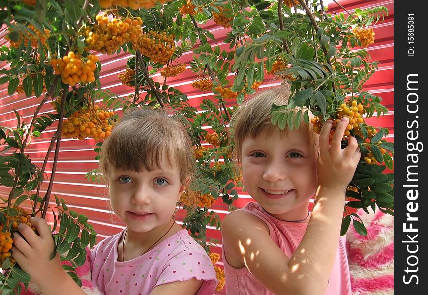 Two little girls playing near a tree. Two little girls playing near a tree