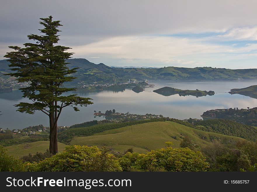 View from hill at Larnach Castle at New Zealand south island. View from hill at Larnach Castle at New Zealand south island