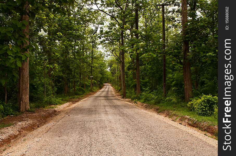 Road in forest of Thailand