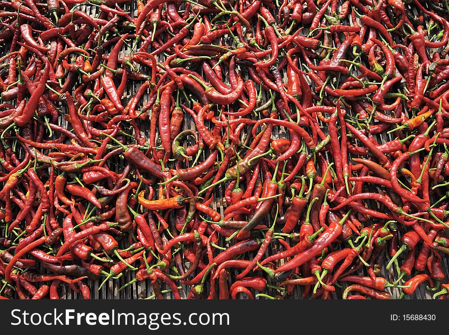 Red chili under the drying.