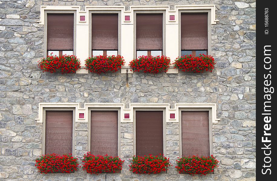 Series of windows with plants. Series of windows with plants