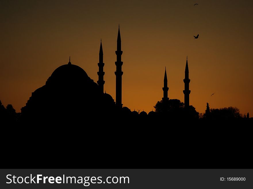 Sunset at Istanbul  With Mosque and birds