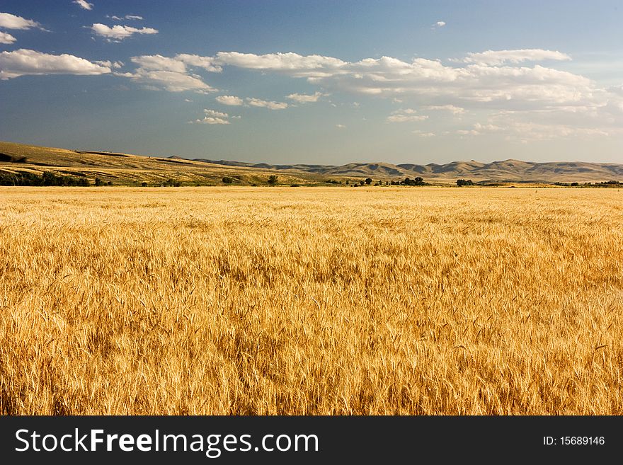 Farm land near Wolverine Canyon, Foothills of Blackfoot Idaho. Farm land near Wolverine Canyon, Foothills of Blackfoot Idaho