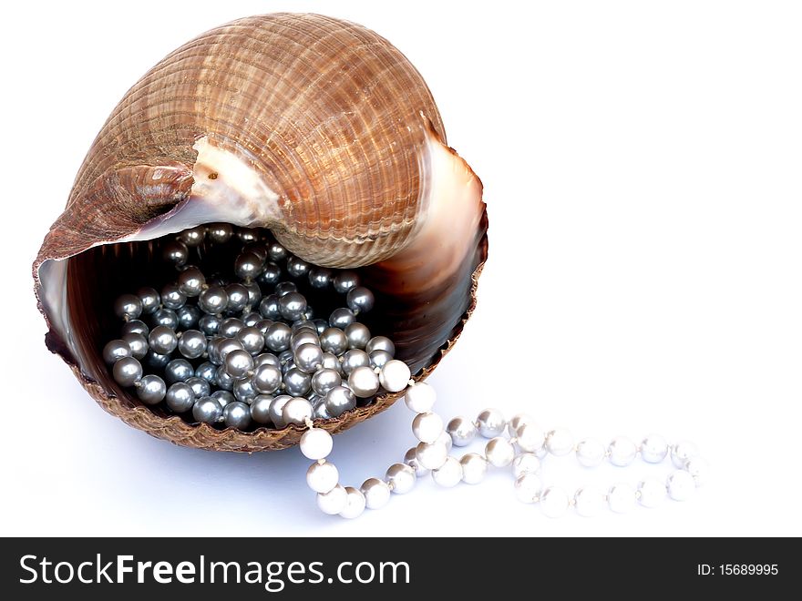Pearl necklace in a shell, isolated on white background. Pearl necklace in a shell, isolated on white background