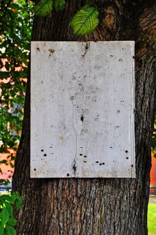 Blank Canvas Royalty Free Stock Photo Blank Canvas Royalty Free Stock Photo