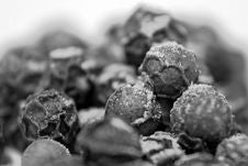 Peppercorns Royalty Free Stock Photography
