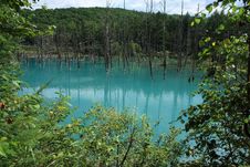 Blue Pond Royalty Free Stock Images