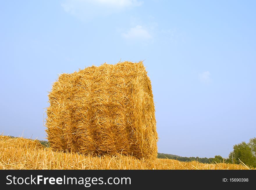 Meadow of hay bales under blue sky