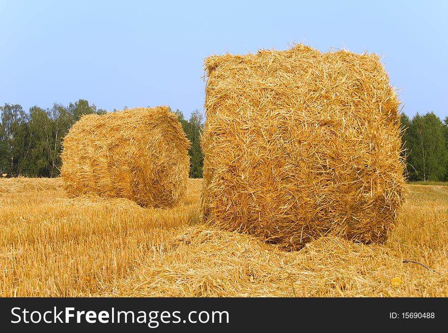 Meadow Of Hay Bales