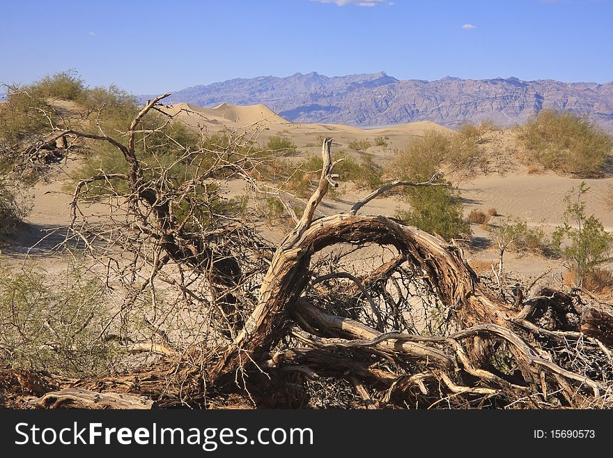 Harsh conditions of Death Valley National Park