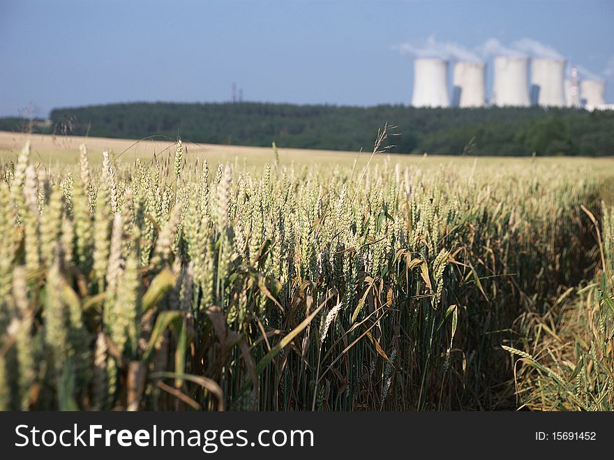 Atomic power station with cornfield in summer