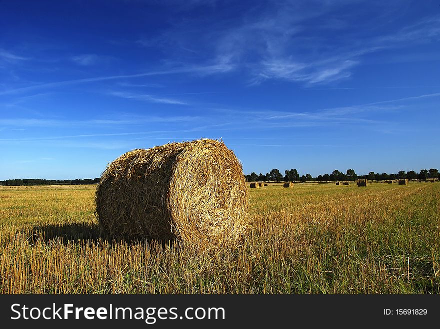 Ten reams of straw on reaped field. Ten reams of straw on reaped field