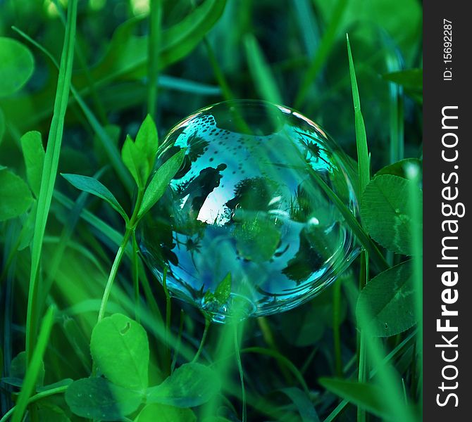 Picture of a bubble in grass