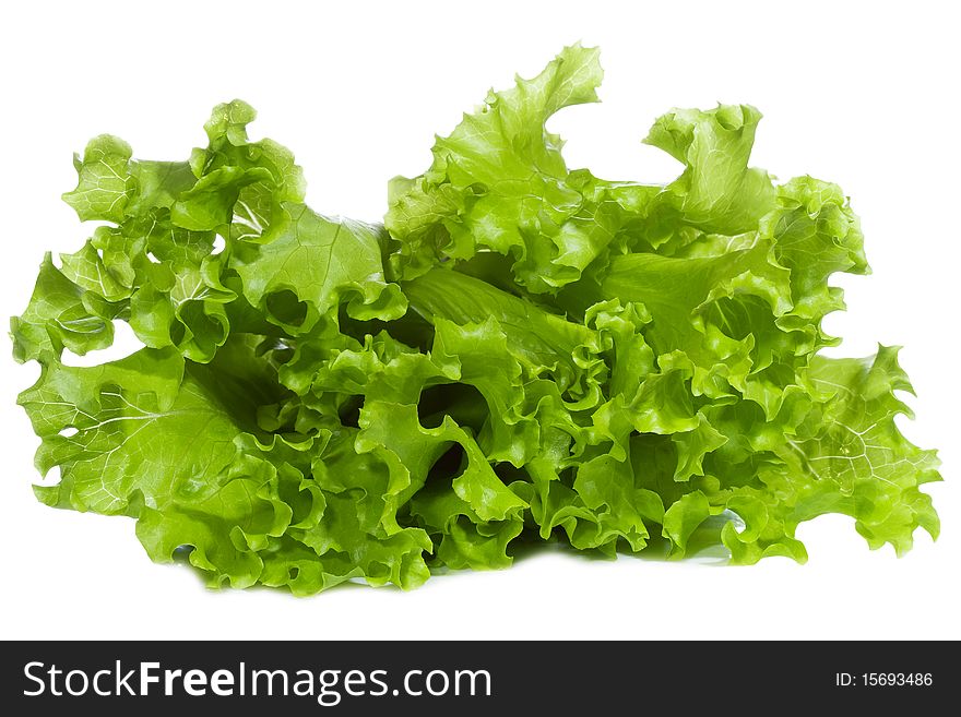 Green salad on white background