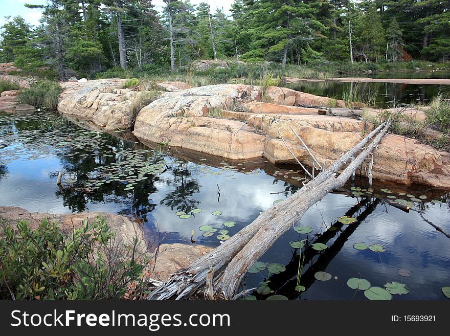 Makeshift Bridge Over Ponds