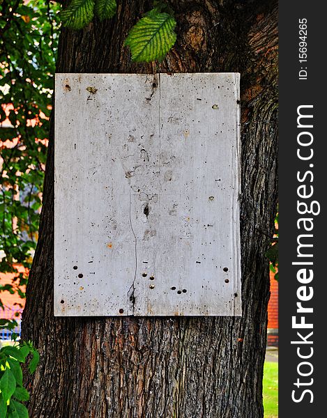A blank white notice board on the bark of an old established tree. A blank white notice board on the bark of an old established tree