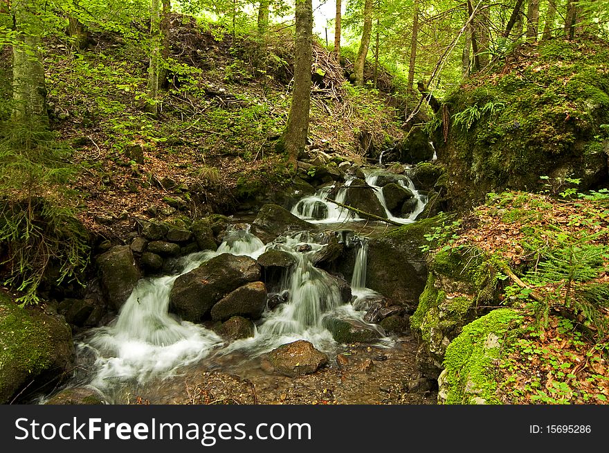 A flowing brook with cascades in a forest. A flowing brook with cascades in a forest