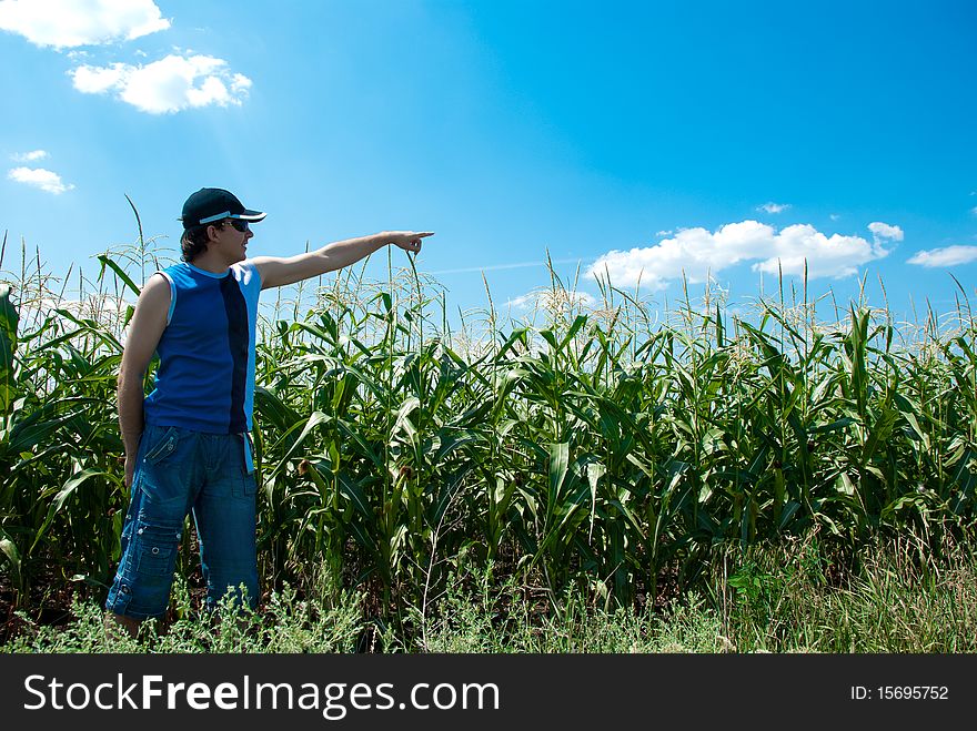 Man looking at the corn field. Man looking at the corn field