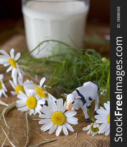 Toy cow with daisy and glass of milk in background. Toy cow with daisy and glass of milk in background