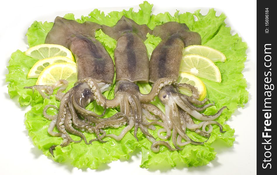 Three nice fresh squids on the green lettuce leaves with lemon slices isolated on white background