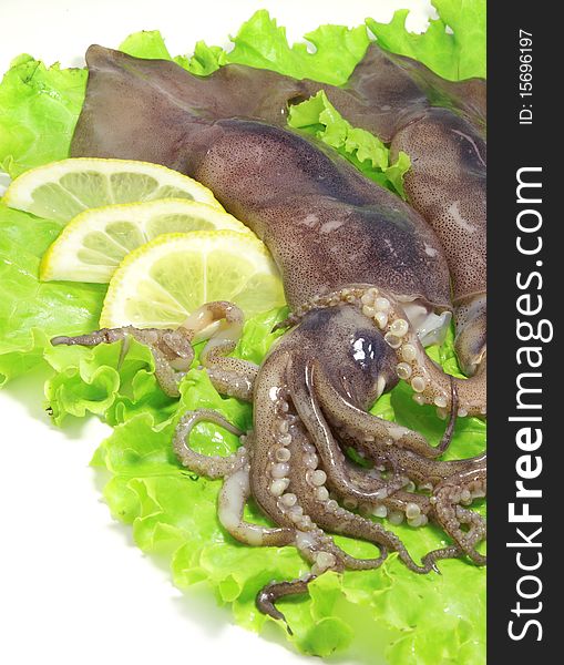 Fresh squids on the lettuce leaves with lemon slices