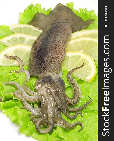 Nice fresh squid on the green lettuce leaves with lemon slices on white background