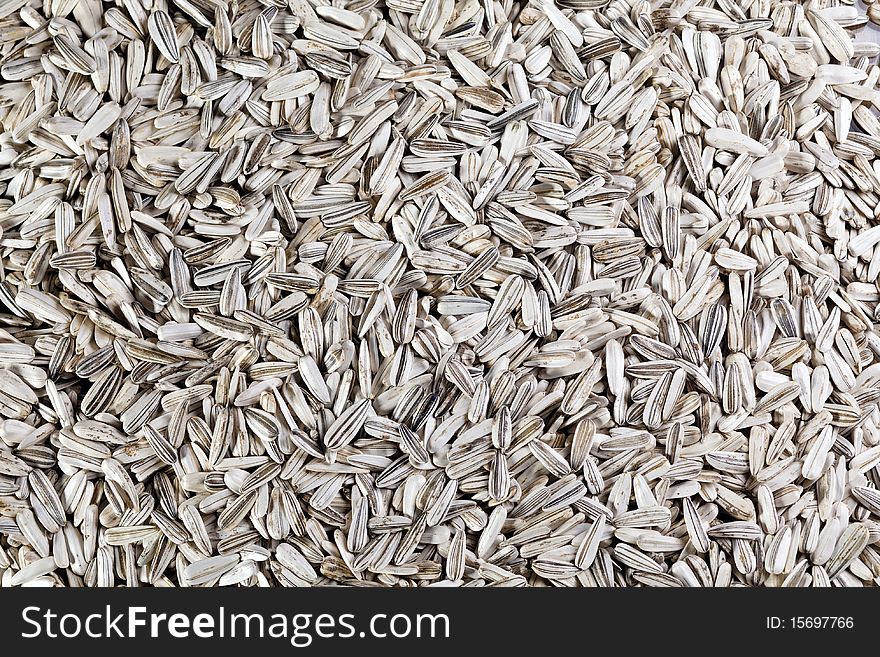 Sunflower Seeds