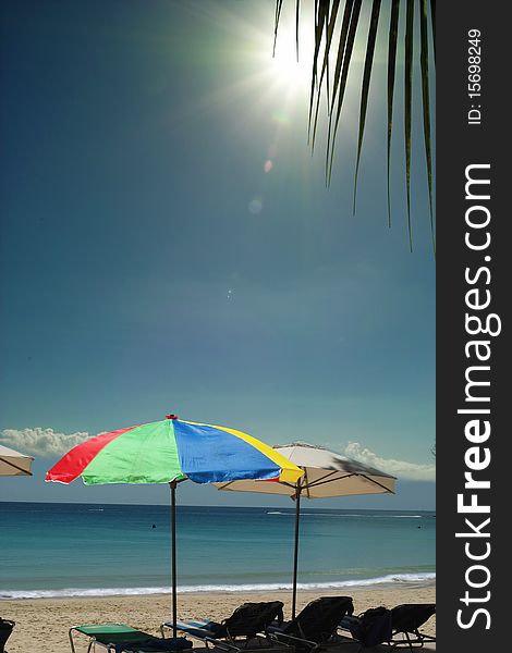 The colorful umbrellas, chairs are waiting on the tropical sea beach. Sun is shining above on the blue sky trough the leaf of palm-tree. The sky area is free for your text. The colorful umbrellas, chairs are waiting on the tropical sea beach. Sun is shining above on the blue sky trough the leaf of palm-tree. The sky area is free for your text.