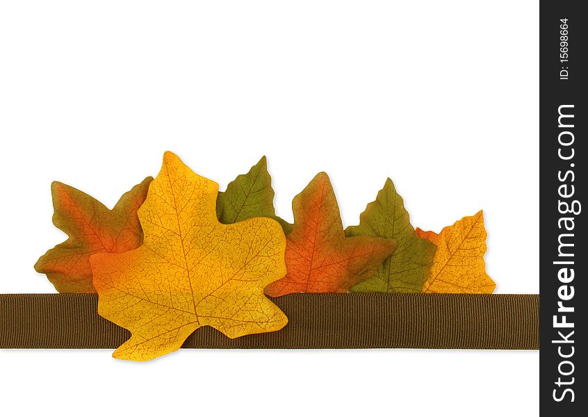 Colorful autumn leaves with a brown grosgrain ribbon. Colorful autumn leaves with a brown grosgrain ribbon
