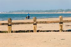 Dog Walking Royalty Free Stock Photography
