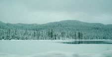 Icy Lake Royalty Free Stock Photography