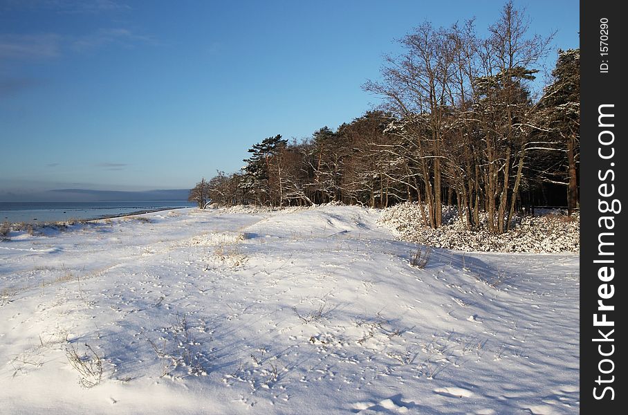 Coast of the Finnish gulf. Coast of the Finnish gulf