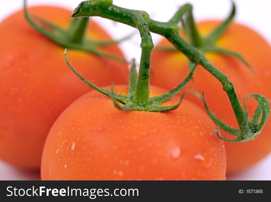 Tomatoes II