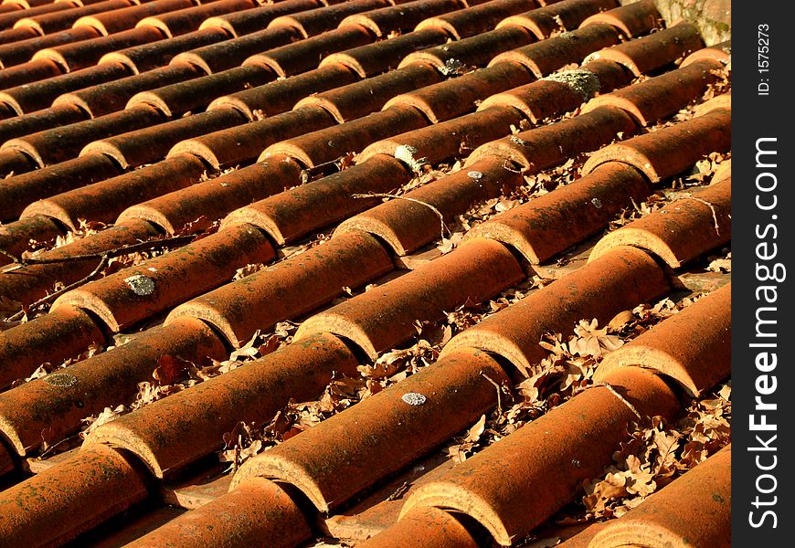 Roof tiles close-up. Colored by beautiful sunset light, covered with leaves.