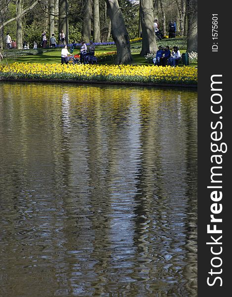 Annual tulip and flowershow at Keukenhof, Holland