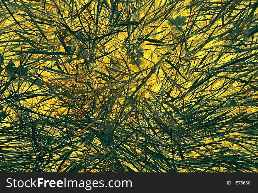 Abstract of blades of grass with a glowing yellow background. Abstract of blades of grass with a glowing yellow background.
