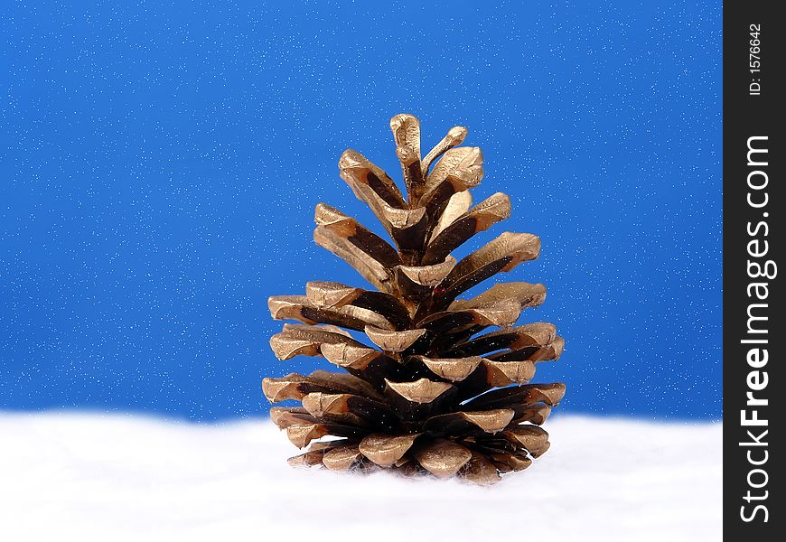 Golden pine cone against snowy sky