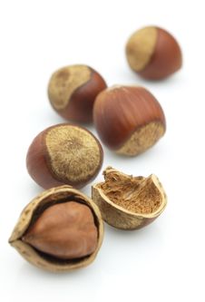 Filbert Nuts Stock Photography