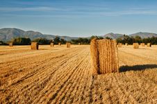 Rolls Of Hay Against Mountains. Stock Image Rolls Of Hay Against Mountains. Stock Image