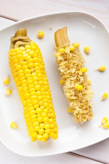 Half-eaten Corn On The Cob Stock Photo Half-eaten Corn On The Cob Stock Photo
