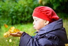 Girl Blowing On Autumn Leaves Stock Photos Girl Blowing On Autumn Leaves Stock Photos