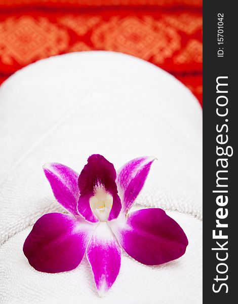 White Towel And Orchid