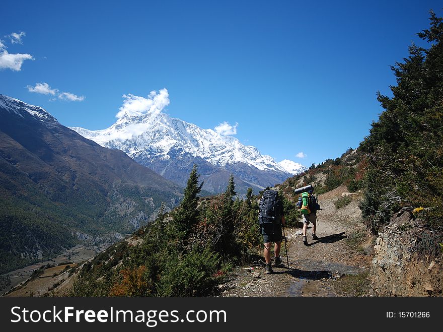 Hiking Backpackers