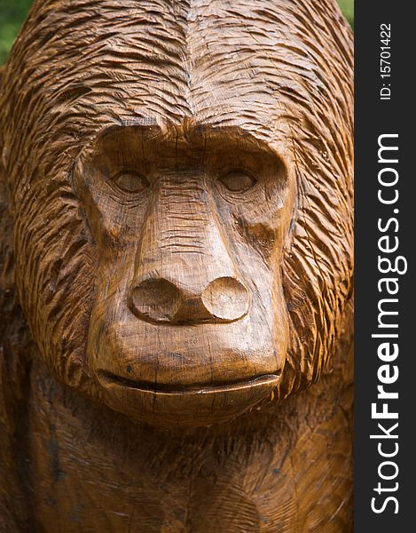 The carved face of a gorilla. Carved in wood. The carved face of a gorilla. Carved in wood